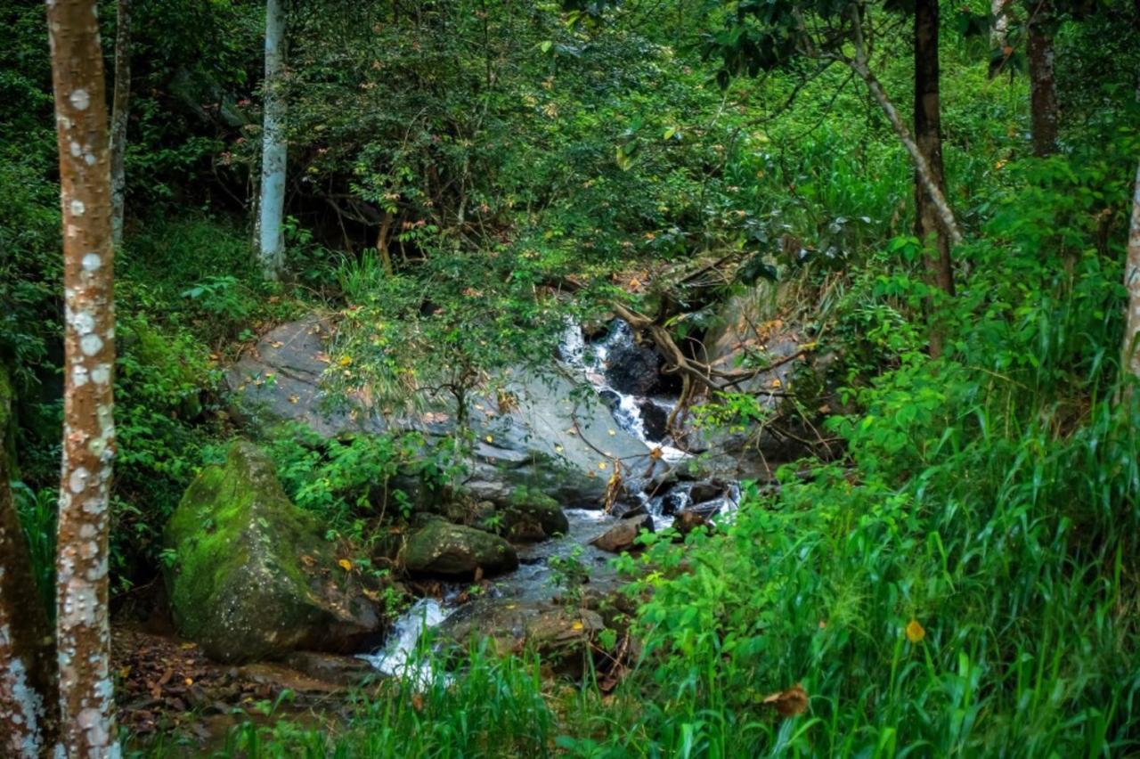 Simpson'S Forest - Luxury Boutique Resort & Spa - Κάντι Εξωτερικό φωτογραφία